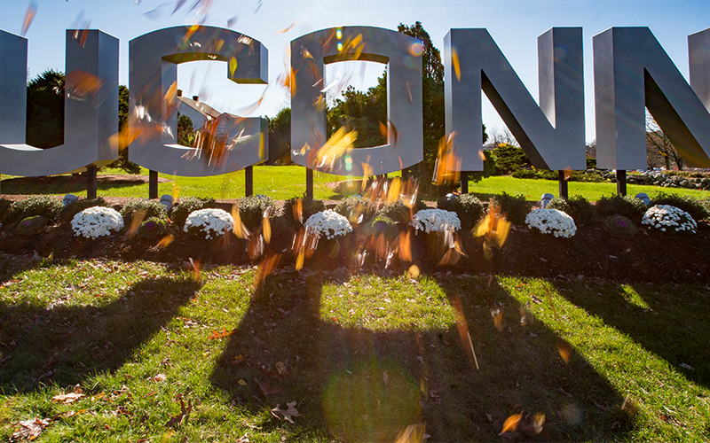 UCONN sign with fall leaves